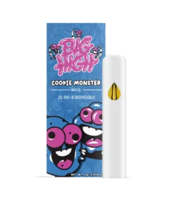 Big High 2G Disposable